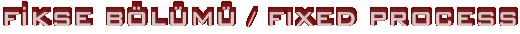 F�KSE B�L�M� / FIXED PROCESS